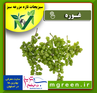 خرید-و-فروش-اینترنتی-غوره-سبزیجات-آماده-آنلاین-در-اصفهان-بصورت-کیلویی-و-عمده-با-قیمت-امروز-با-تخفیف