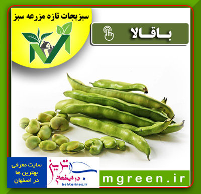 سبزی-باقالا-باقالی-خرید-و-فروش-اینترنتی-سبزیجات-آماده-آنلاین-در-اصفهان-بصورت-کیلویی-و-عمده-با-قیمت-امروز-با-تخفیف