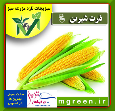 سبزی-ذرت-شیرین-خرید-و-فروش-اینترنتی-سبزیجات-آماده-آنلاین-در-اصفهان-بصورت-کیلویی-و-عمده-با-قیمت-امروز-با-تخفیف