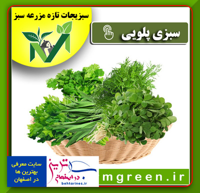 سبزی-پلویی-خرید-و-فروش-اینترنتی-سبزیجات-آماده-آنلاین-در-اصفهان-بصورت-کیلویی-و-عمده-با-قیمت-امروز-با-تخفیف