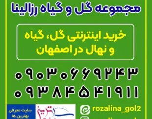 رزالینا بهترین مجموعه فروش آنلاین گل، گیاه و نهال اصفهان