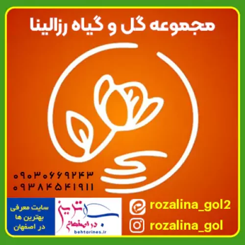 رزالینا بهترین مجموعه فروش آنلاین گل، گیاه و نهال اصفهان