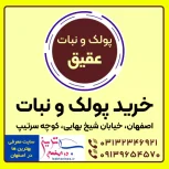 خرید اینترنتی بهترین پولکی و نبات اصفهان